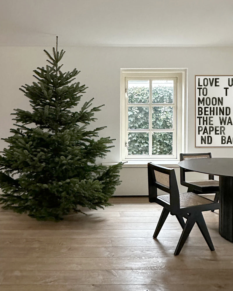 Typographic on canvas