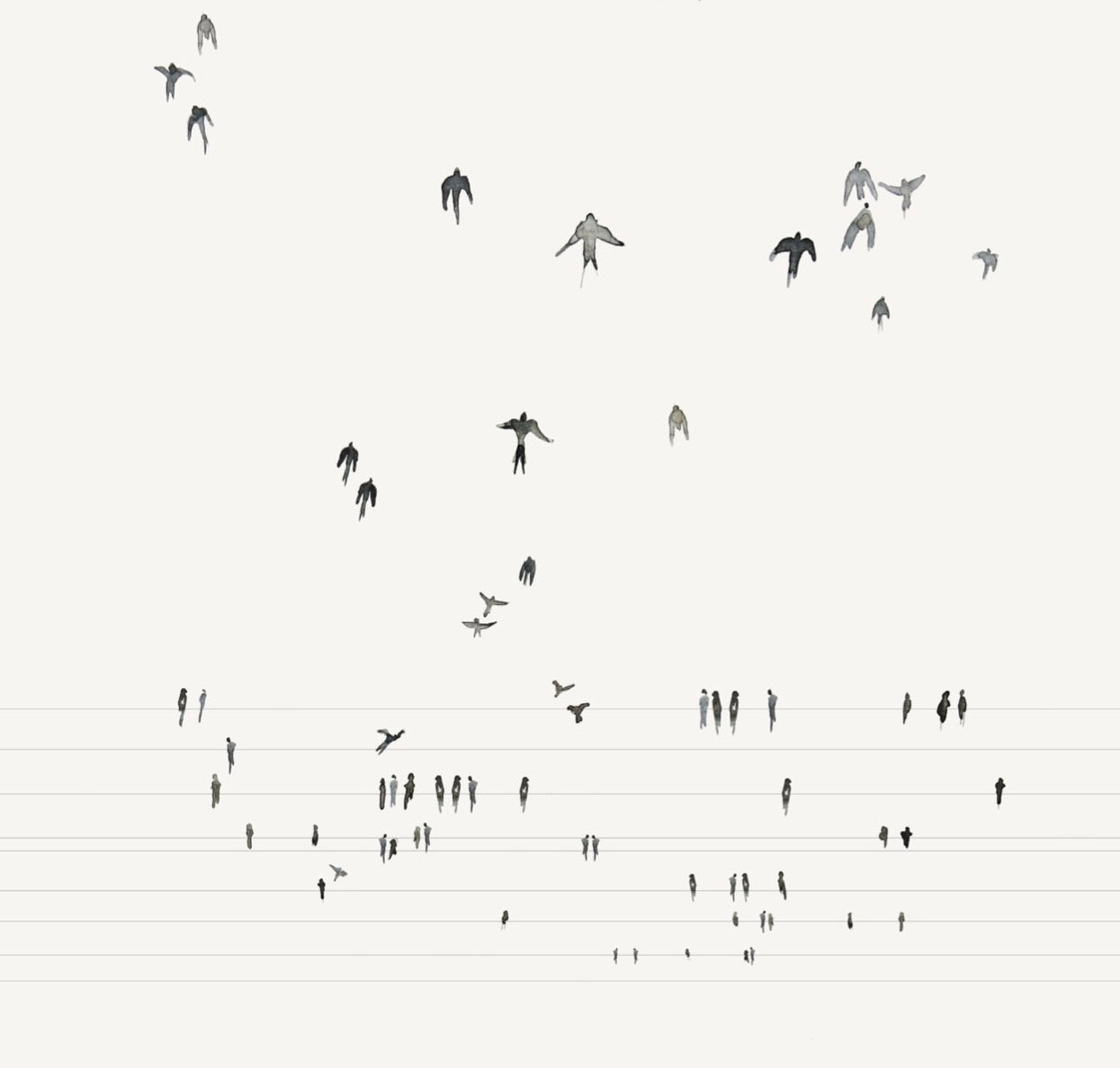 Birds