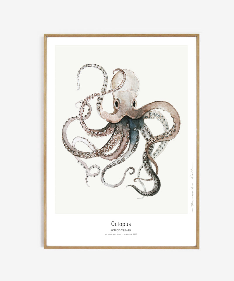 Octopus_50x70_oak_new.jpg