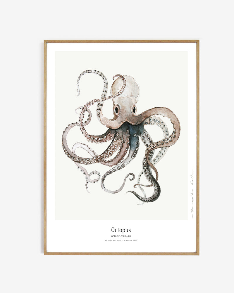 Art print - Octopus