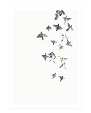 Flying high - postcard