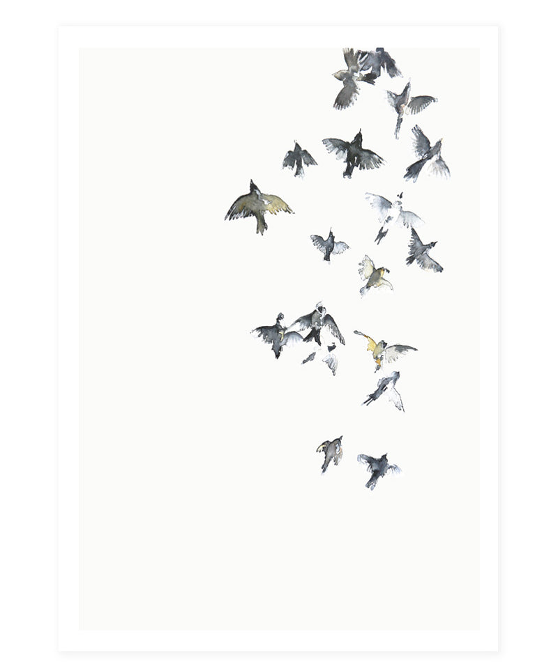 Postcard_flyinghigh.jpg