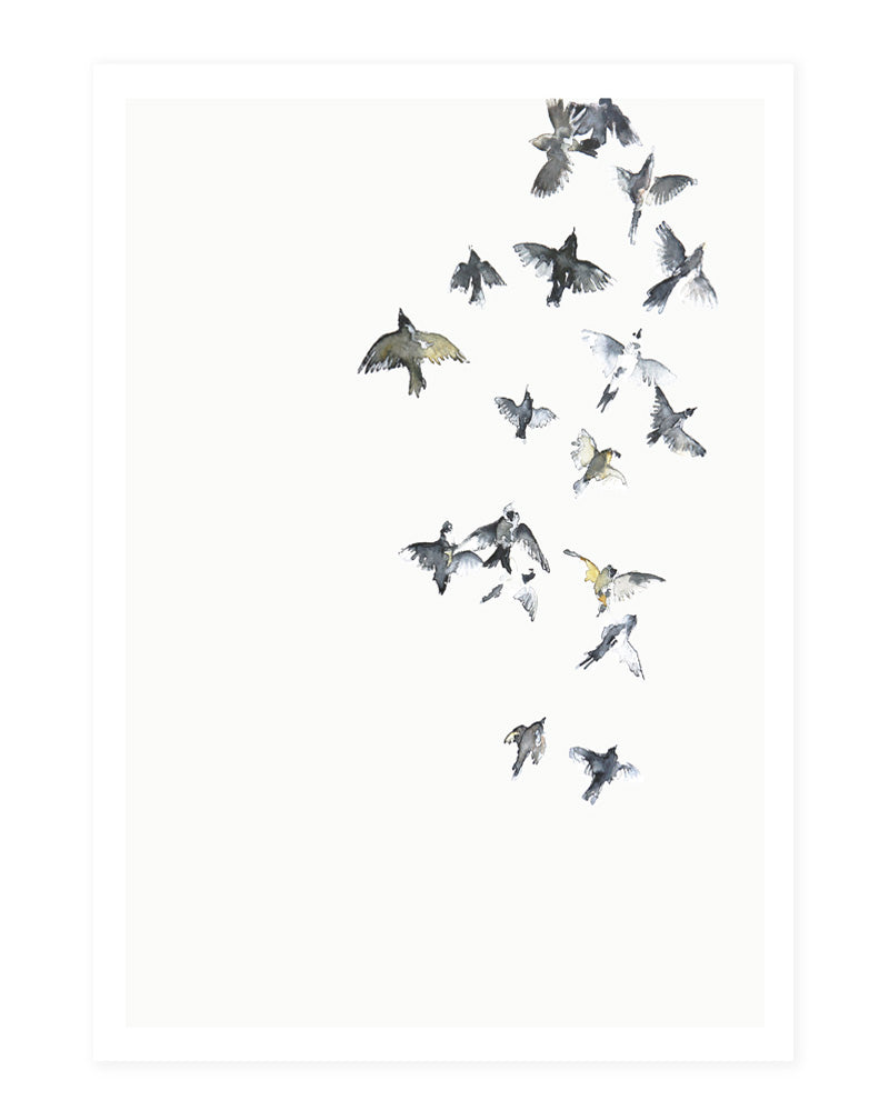 Flying high - postcard