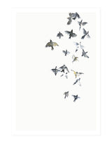 Flying high - postcard