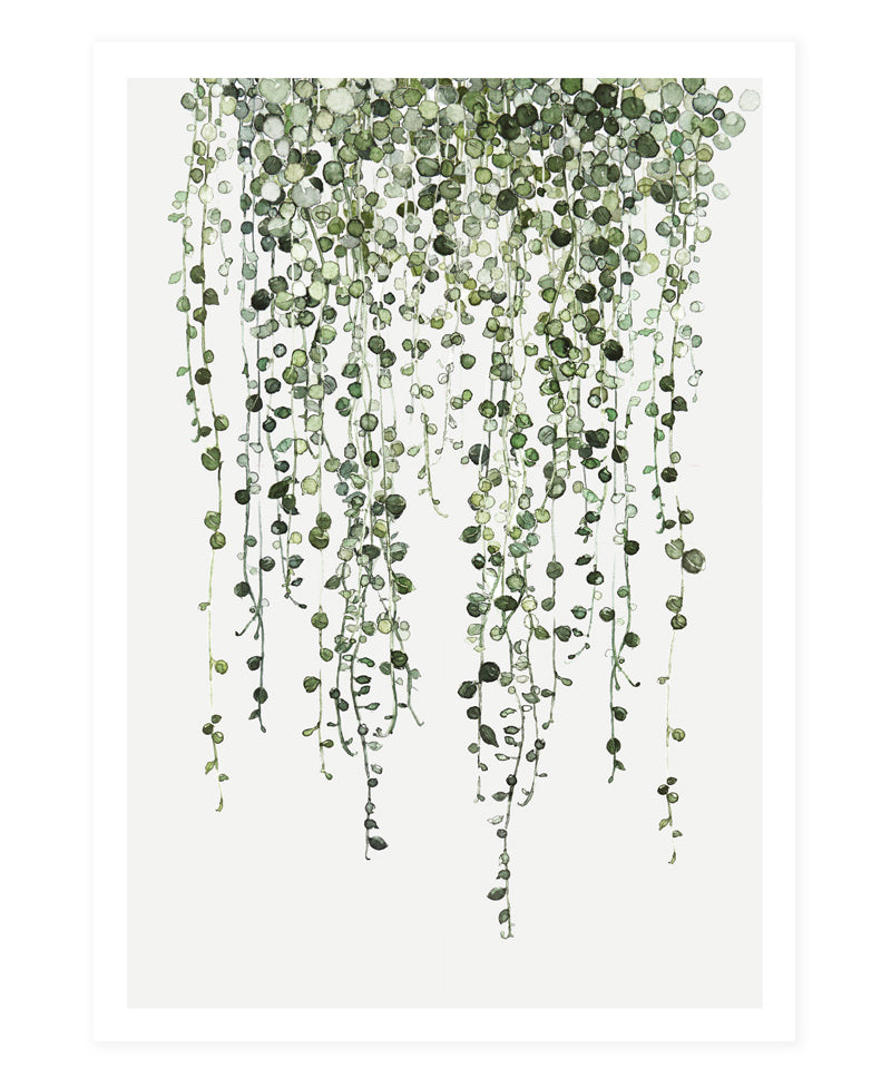 Postcard_stringofpearls.jpg