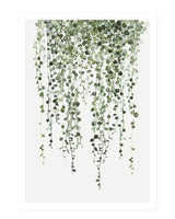 String of pearls - postcard
