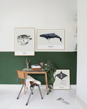 Art print - Spotted Eagle Ray