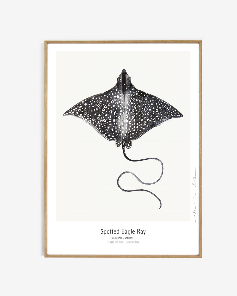 Art print - Spotted Eagle Ray