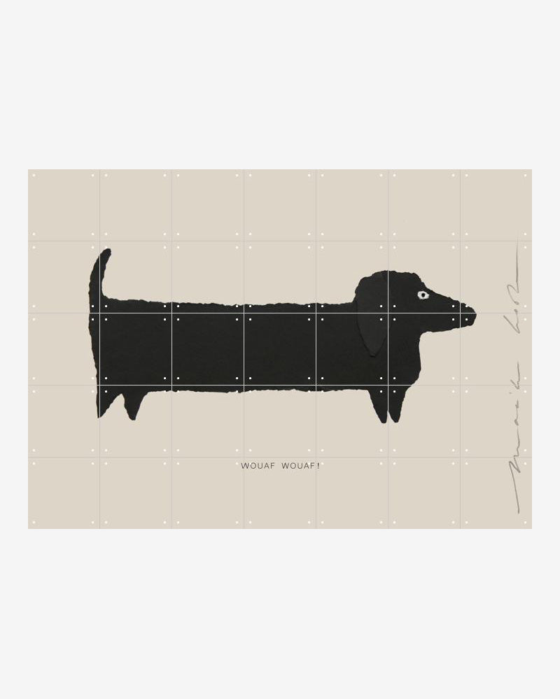IXXI - le chien