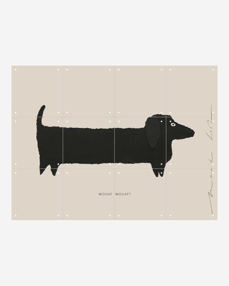 IXXI - le chien