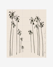 IXXI - Palms summer