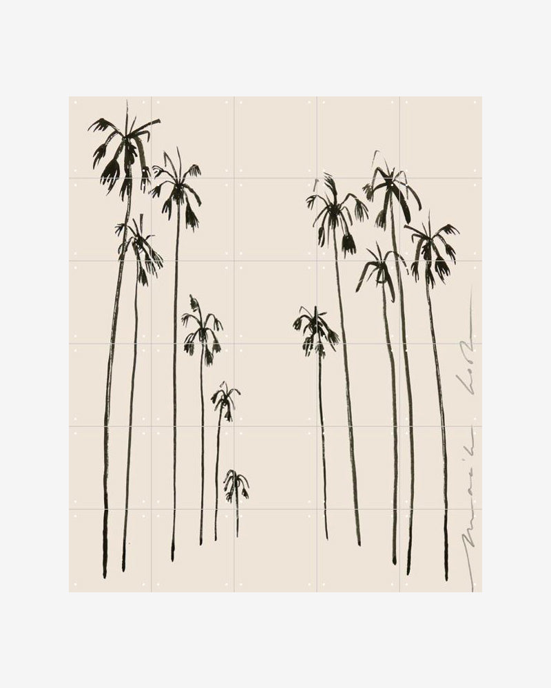 IXXI - Palms summer