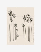 IXXI - Palms summer