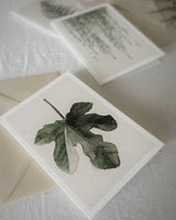 Fig - postcard