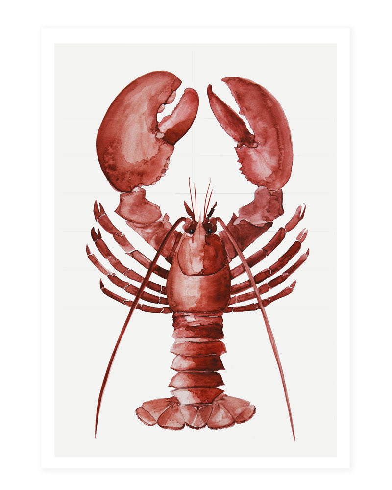 Lobster - postcard