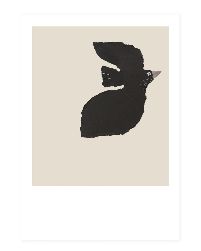 l'Oiseau - postcard