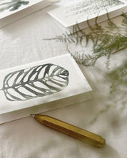 Monstera Obliqua - postcard