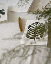 Monstera Obliqua - postcard
