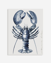 SUMMER STOCK SALE | Gallery Bond 30 x 40 cm - Lobster