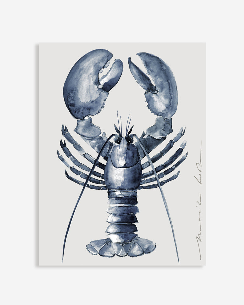 SUMMER STOCK SALE | Gallery Bond 30 x 40 cm - Lobster