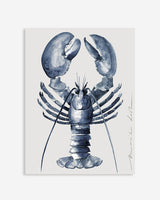 SUMMER STOCK SALE | Gallery Bond 30 x 40 cm - Lobster