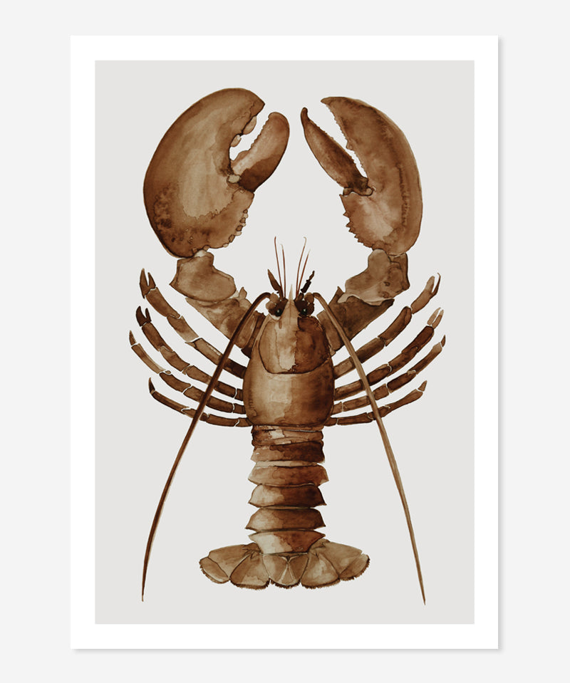 product_postcard_lobster_brown.jpg