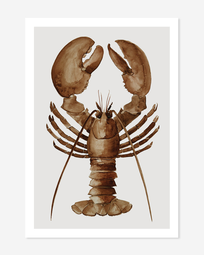 Lobster, brown - postcard