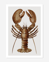Lobster, brown - postcard