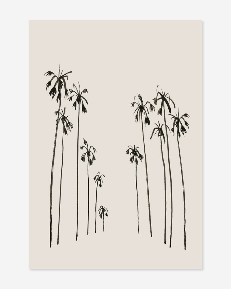 Palms Summer - postcard