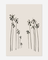 Palms Summer - postcard