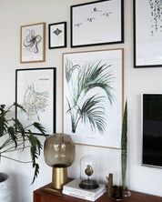 Photopaper Art print 60 x 80 cm - Howea