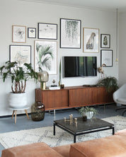 Into the wild  /  Leopard