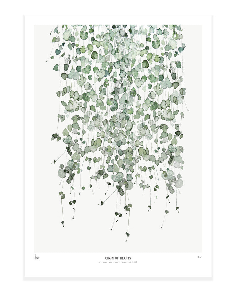 Botanics /  Chain of hearts