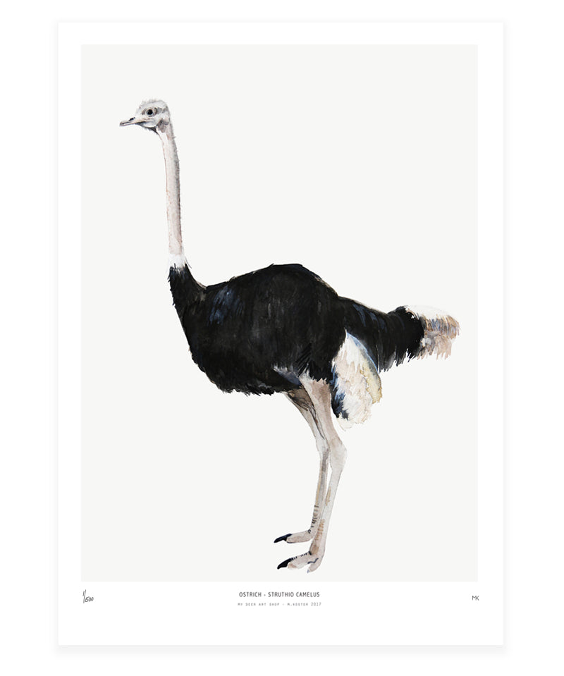 MyDeerArtShop_ostrich_297e8b5d-0de6-4661-835f-416361433f02.jpg