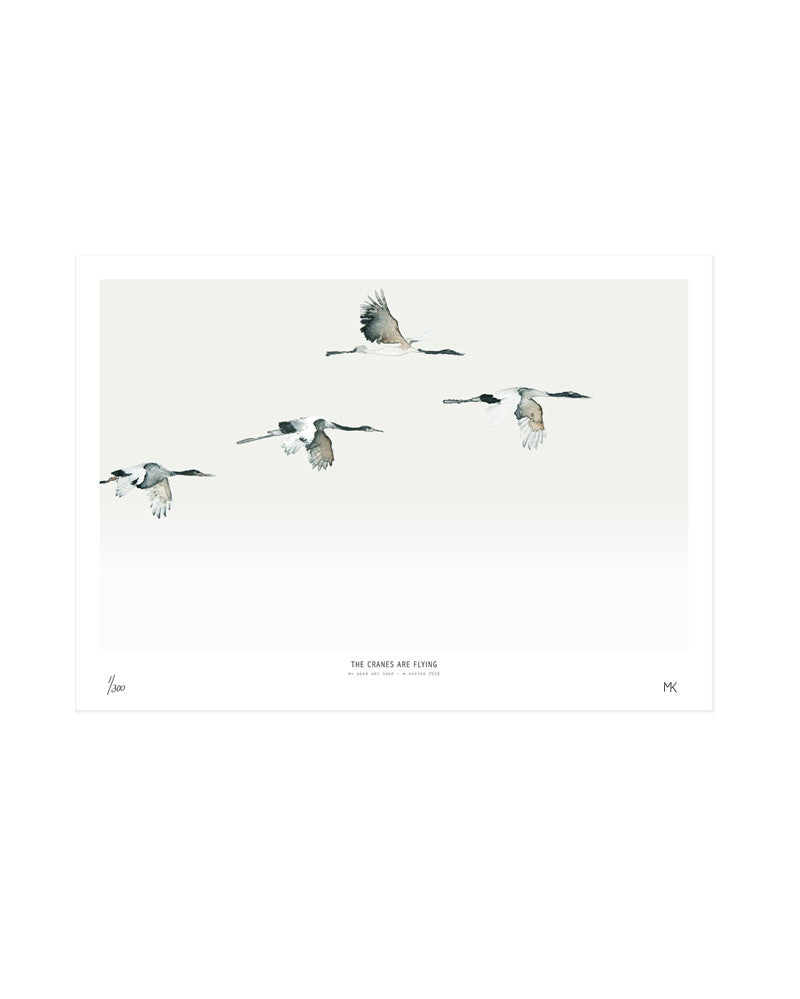 Birds  /  The cranes are flying