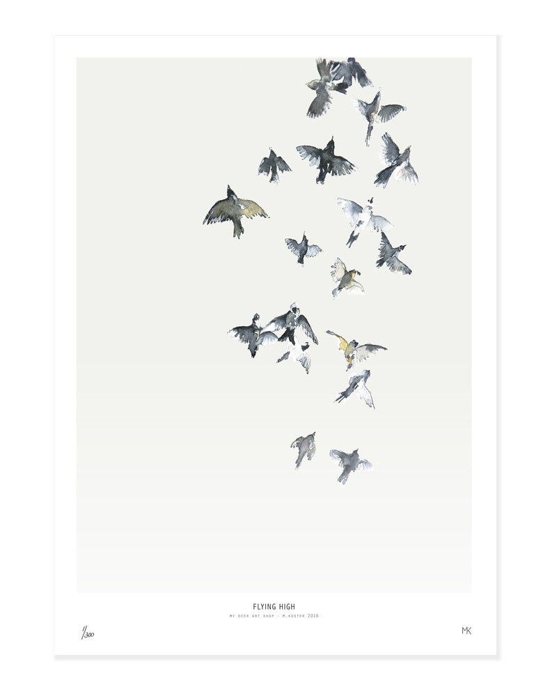 Birds  /  Flying high