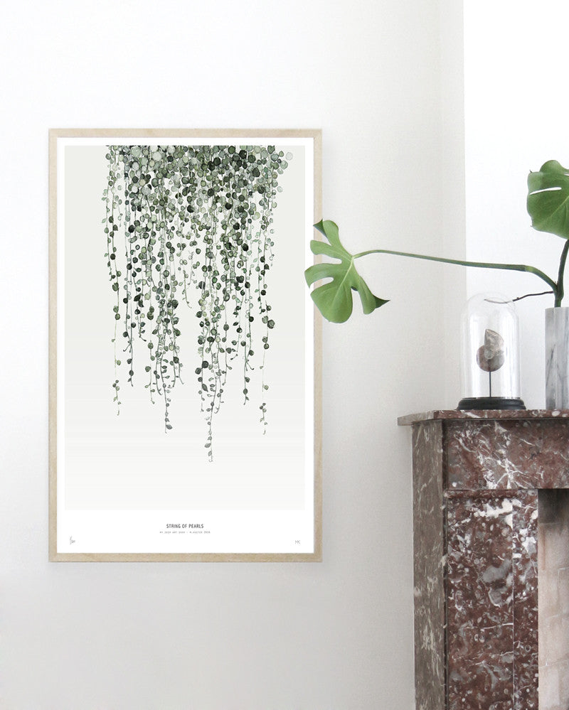 Botanics /  String of Pearls