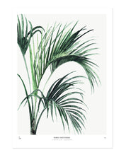 Perfectly Imperfect | Photopaper mat 60 x 90 cm - Howea