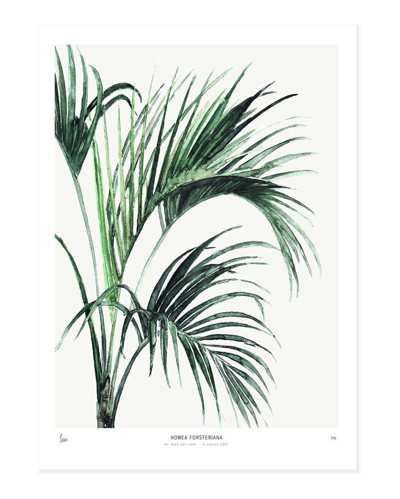 Perfectly Imperfect | Photopaper mat 60 x 90 cm - Howea