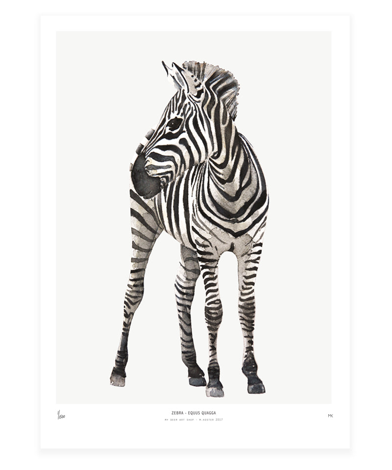 MyDeerArtShop_zebra_4d9d88fb-854f-4160-82d5-9f44bb43cce3.jpg