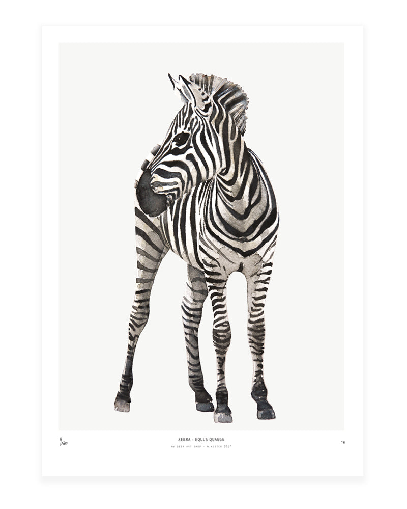 Photopaper Art print 60 x 90 cm - Zebra