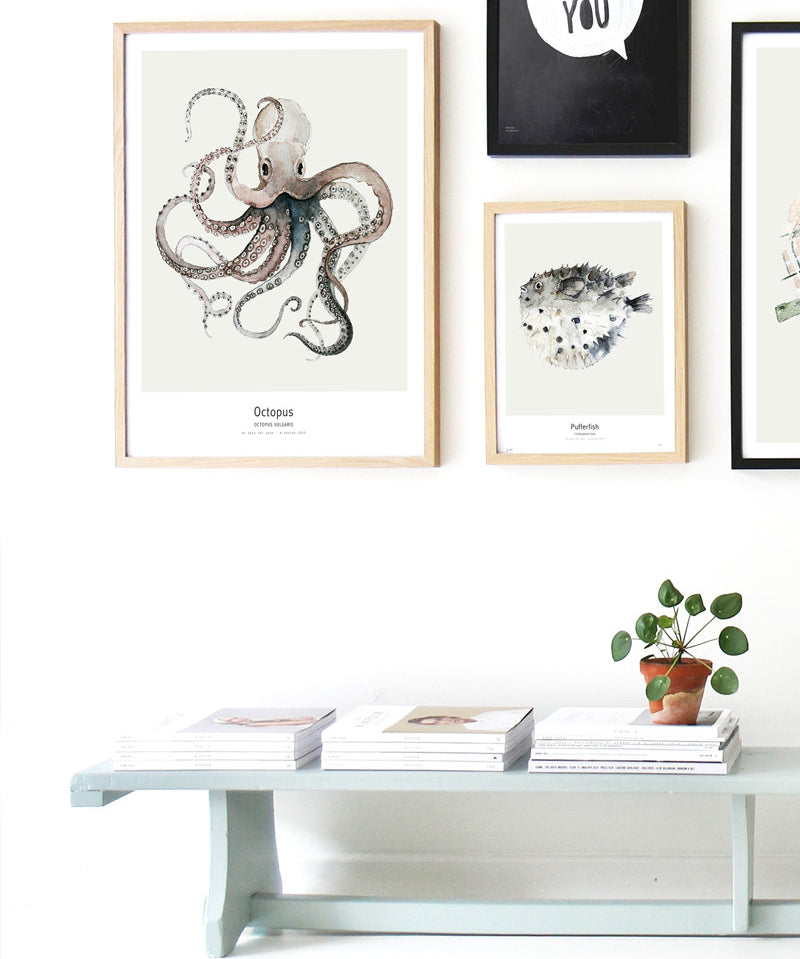 Ocean_octopus1.jpg