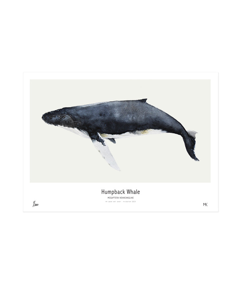 Ocean_whale.jpg
