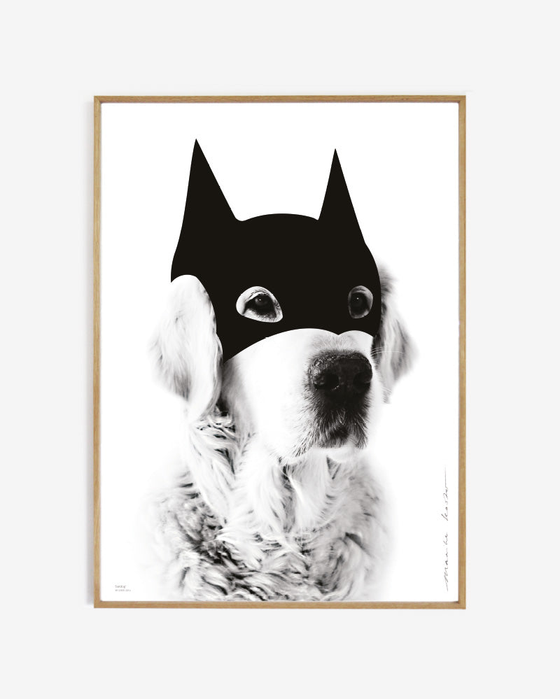 Hero  // BatDog