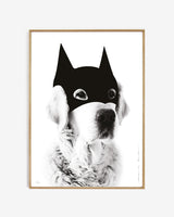 Hero  // BatDog