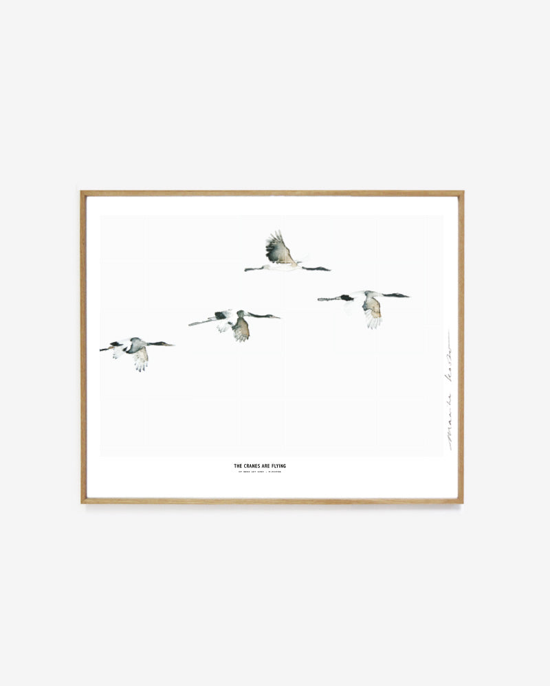 Birds  /  The cranes are flying