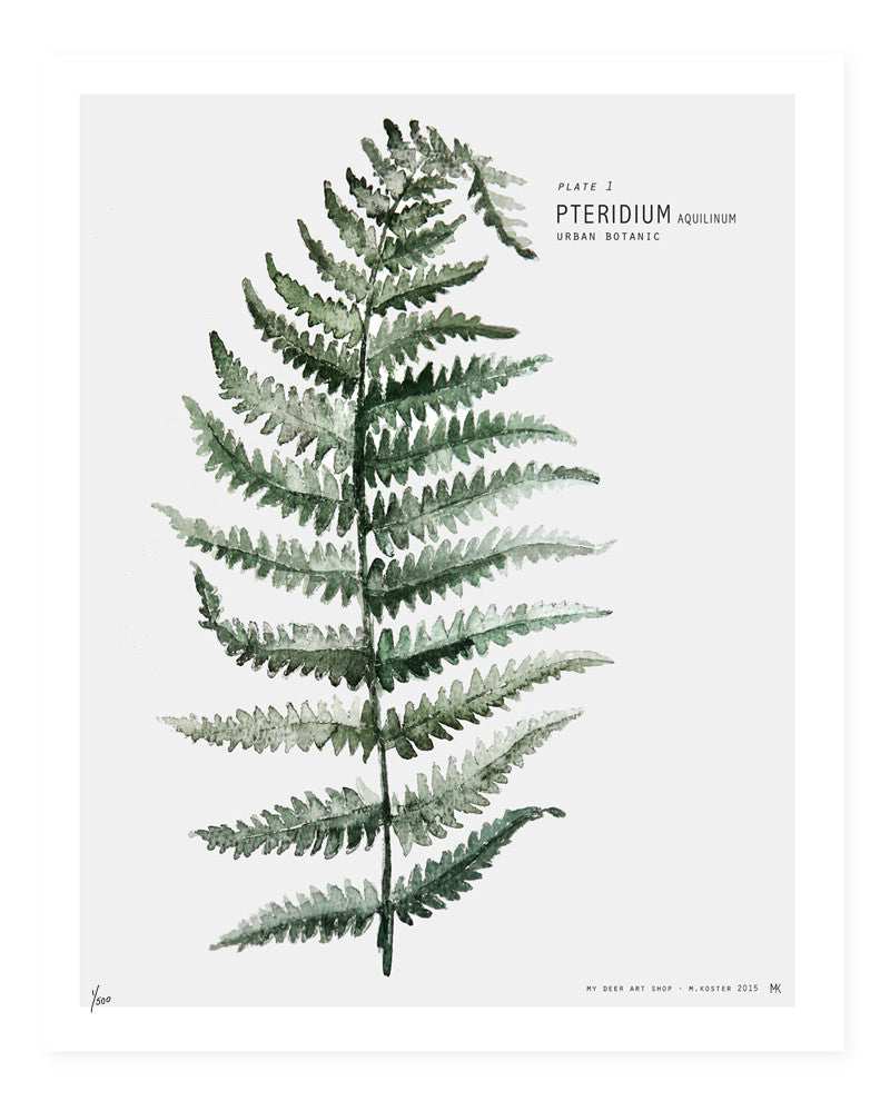 Botanic Urban //  Plate 1