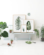 Botanic Urban //  Plate 1