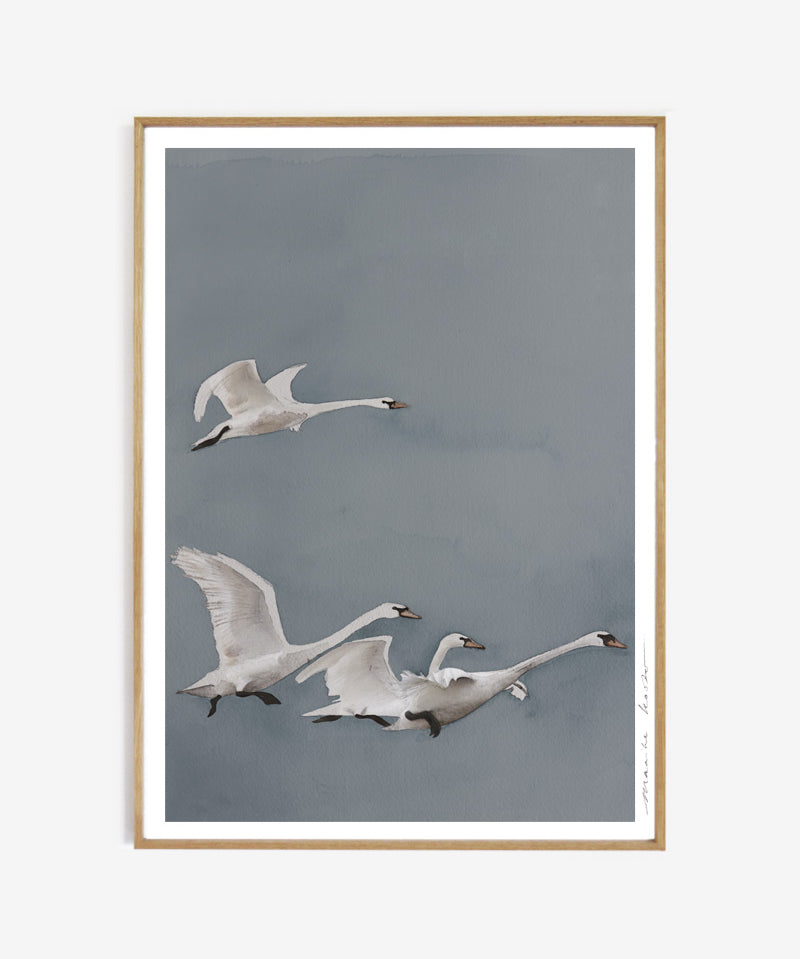 framed_taking_off_50x70_b69b4a8d-ef23-49ca-a2f9-dc02e59c2c1a.jpg