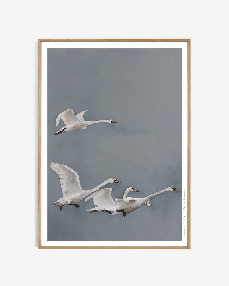 Art print - Taking off